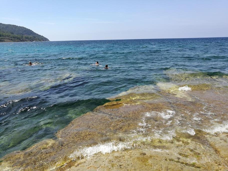 La Conchiglia Di Trentova Daire Agropoli Dış mekan fotoğraf