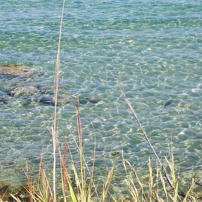 La Conchiglia Di Trentova Daire Agropoli Dış mekan fotoğraf