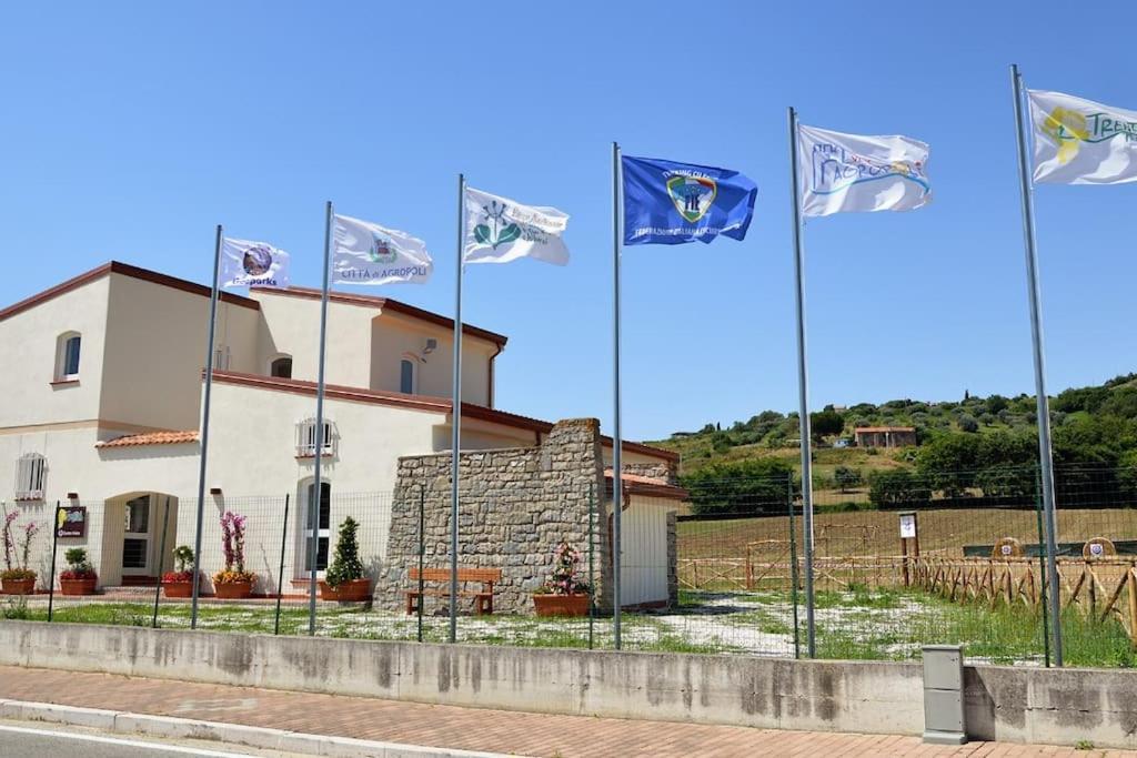 La Conchiglia Di Trentova Daire Agropoli Dış mekan fotoğraf