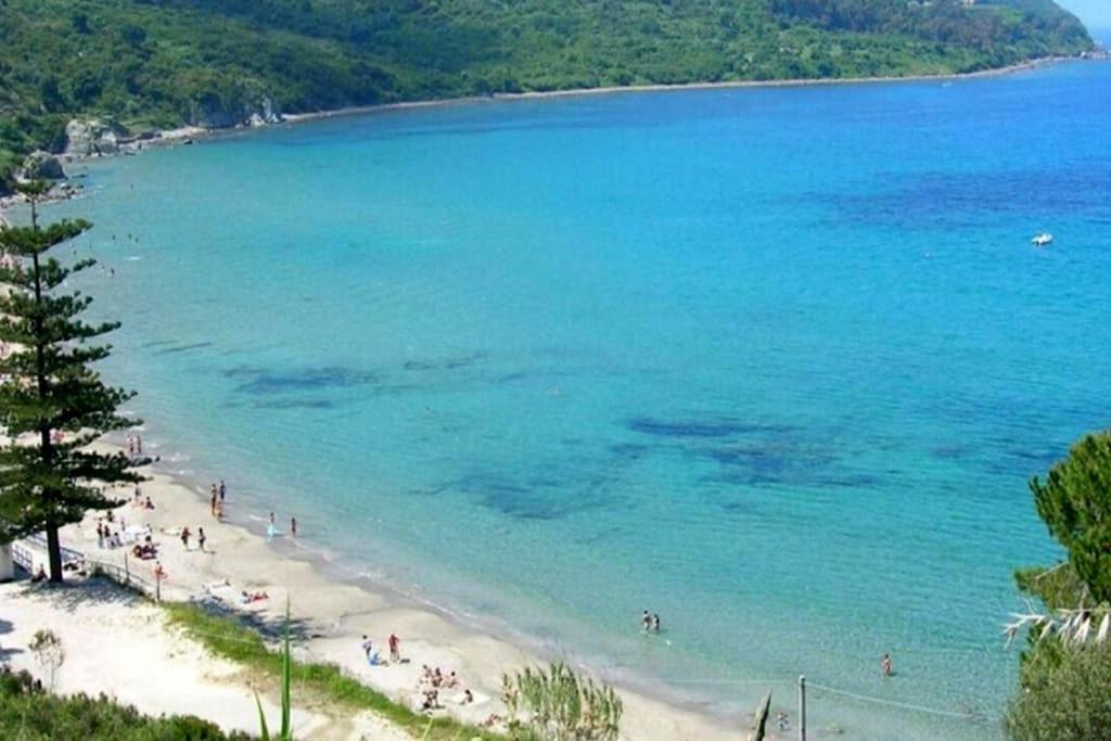 La Conchiglia Di Trentova Daire Agropoli Dış mekan fotoğraf
